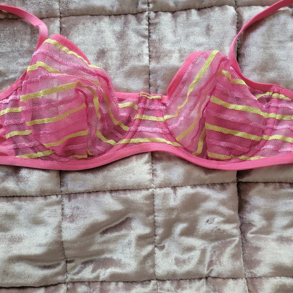 Damaris Pink Stripe Bra